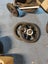 Mountain Buggy Terrain Stroller Carousel 7