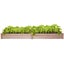 Wooden Raised Garden Bed Carousel 7