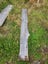 Macrocarpa clearance Slab P Carousel 1