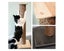 Cat Scratching Post 800mm Tall, Blackwash Finish Carousel 1