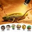 3PCS Reptile Heating Light Bulb UVA+UVB Tortoise Turtle Lizard UV Basking Lamp Carousel 2