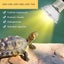 3PCS Reptile Heating Light Bulb UVA+UVB Tortoise Turtle Lizard UV Basking Lamp Carousel 3