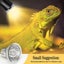 3PCS Reptile Heating Light Bulb UVA+UVB Tortoise Turtle Lizard UV Basking Lamp Carousel 4
