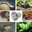 3PCS Reptile Heating Light Bulb UVA+UVB Tortoise Turtle Lizard UV Basking Lamp Carousel 6