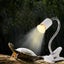 E27 Reptile Heating Light Turtle Lizard UVB + UVA Pet Heat Lamp Clip Holder Carousel 10