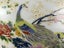 Vintage Japan Satsuma Handpainted Peacock Urn Vase Carousel 2