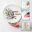 40x Disc Plate Hangers Picture Hanging Self Adhesive Stick on Invisible Hooks Carousel 4