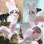 New Funny Pet Dog Cat Cap Costume Rabbit Hat New Year/Christmas Accessories Carousel 5