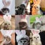 New Funny Pet Dog Cat Cap Costume Rabbit Hat New Year/Christmas Accessories Carousel 6