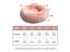 Long Plush Cat Bed House Soft Round Cat Bed Winter Pet Dog Cushion Mats For Carousel 8