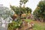 gallery view thumbnail