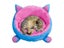 Cat Bed House Plush Cat Paw Cushion Mat Sofa For Cat Accessories For Puppy Carousel 4