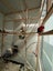 Loading Image 1 of 7
