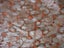 Loading Image 1 of 4