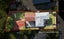 gallery view thumbnail