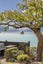 gallery view thumbnail