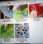 THE CATTAGE - Gorgeous Funny Cat Diamond Painting DIY Kit 5D Carousel 3