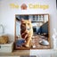THE CATTAGE - Gorgeous Funny Cat Diamond Painting DIY Kit 5D Carousel 2