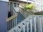 gallery view thumbnail