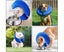 Inflatable Dog Collar Pet Cat Protective Jackets S Carousel 7