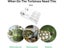 Turtle Platform Aquarium High Temperature Resistance Strong Suction Acrylic Carousel 3