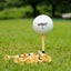 Eco-Friendly Bamboo Golf Tees Durable Sustainable for Golf Course Play Carousel 9