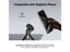 NEEWER Magnetic Phone Tripod Mount Carousel 2