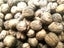 Walnuts - In shell - 1KG - New Seasons 2025, Freshly Harvested! Carousel 1