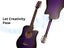 38'' Acoustic Guitar Carousel 4