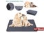 PTN NEW Dog Pee Pad Sale Sale Sale Carousel 1