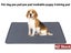 PTN NEW Dog Pee Pad Sale Sale Sale Carousel 2