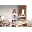 Adjustable desk stand - great deal Carousel 4