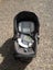Baby car seater of Baby Jogger Carousel 5
