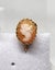 9ct Yellow Gold Cameo Screw Back Earrings - 2.4gm - 173609 Carousel 3