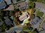 gallery view thumbnail
