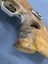 Omark 44 7.62 x 54 Russian Target Rifle - barrel in mint condition Carousel 5