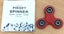 Fidget Spinner Carousel 5