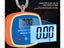 Digital Weighing Scales Luggage Scale (Over Stocked) Carousel 4