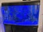 Aqua style 850 Fishtank and Stand, Complete set up. Carousel 5