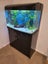 Aqua style 850 Fishtank and Stand, Complete set up. Carousel 8