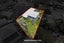 gallery view thumbnail