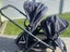 UPPAbaby VistaV2 pram plus accessories Carousel 4