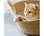 for Cat Scratching Basket Pad Lounge Bed Round Scratch Pad for Cat Scratche Carousel 5