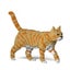 Loading Image 1 of 2