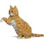 Loading Image 1 of 2