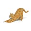 Loading Image 1 of 2