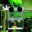 Floating Fish Tank 3 in1 Aquatic Fish Breeding Tank Incubator Carousel 1