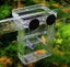 Floating Fish Tank 3 in1 Aquatic Fish Breeding Tank Incubator Carousel 2