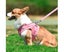 Soft Mesh Chest Harness for Medium and Small Dogs / Cats, Adjustable Reflecti M Carousel 5