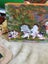 PAINTED CANVAS OF GARDEN CHAIRS Carousel 1